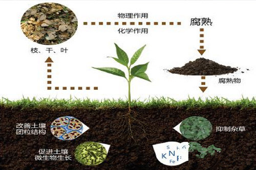 市面上的肥料你真的懂吗？肥料的种类怎么划分的？